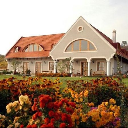 Koczor Winery & Guesthouse 巴拉顿菲赖德 外观 照片