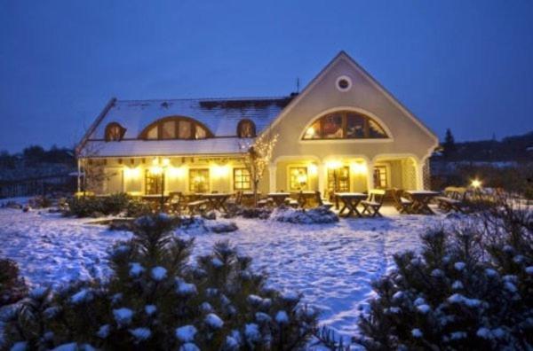 Koczor Winery & Guesthouse 巴拉顿菲赖德 外观 照片