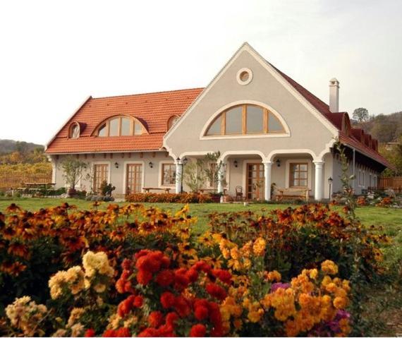 Koczor Winery & Guesthouse 巴拉顿菲赖德 外观 照片