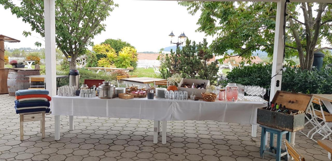 Koczor Winery & Guesthouse 巴拉顿菲赖德 外观 照片