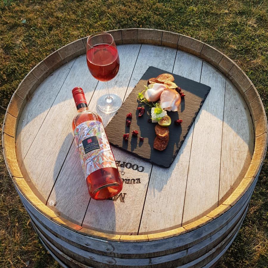 Koczor Winery & Guesthouse 巴拉顿菲赖德 外观 照片
