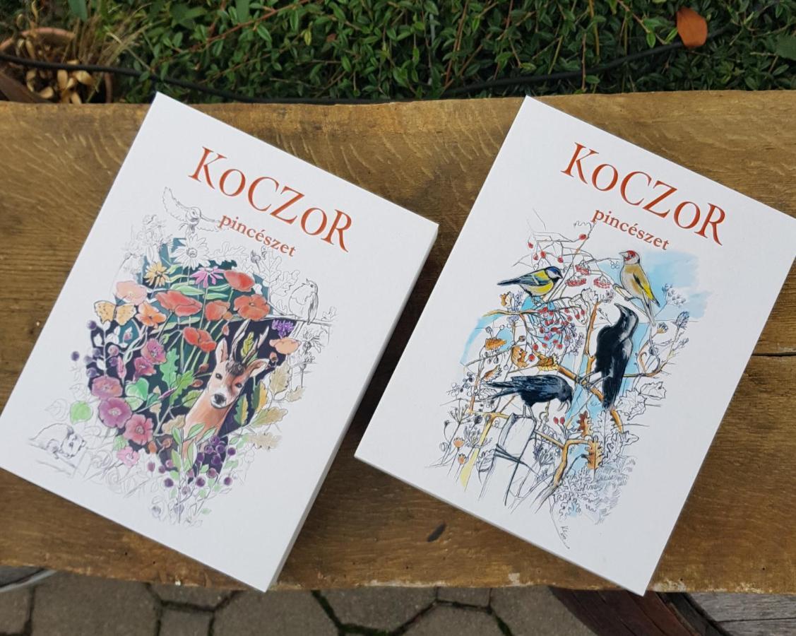 Koczor Winery & Guesthouse 巴拉顿菲赖德 外观 照片