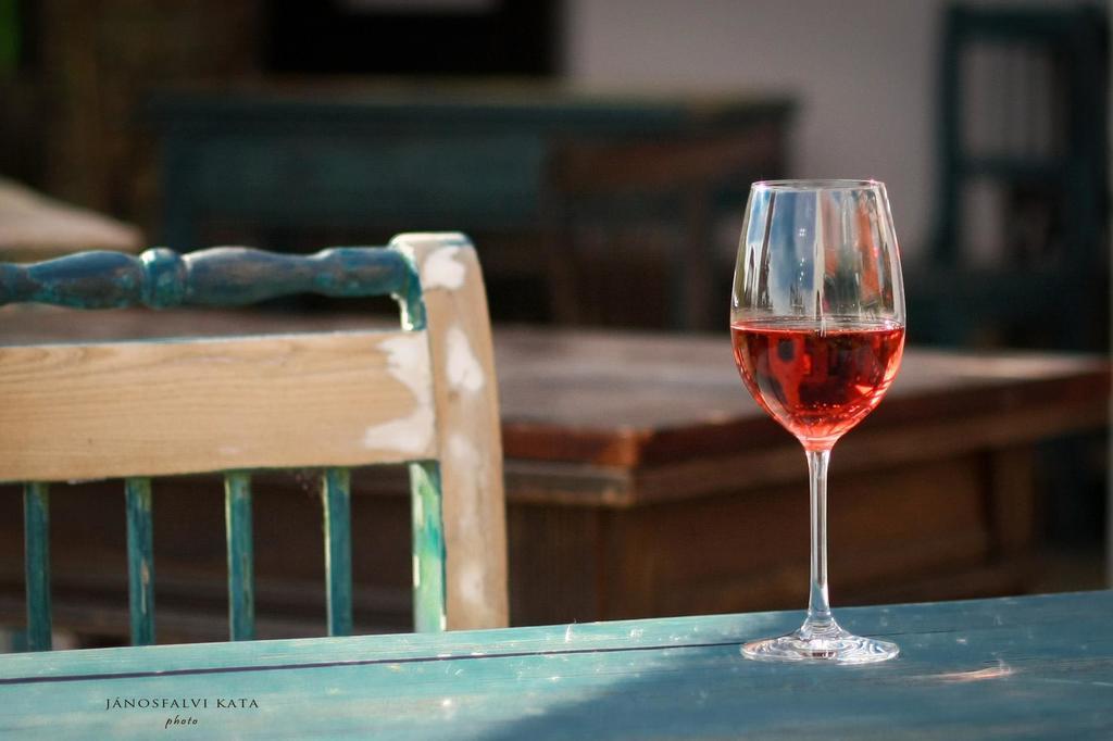 Koczor Winery & Guesthouse 巴拉顿菲赖德 外观 照片