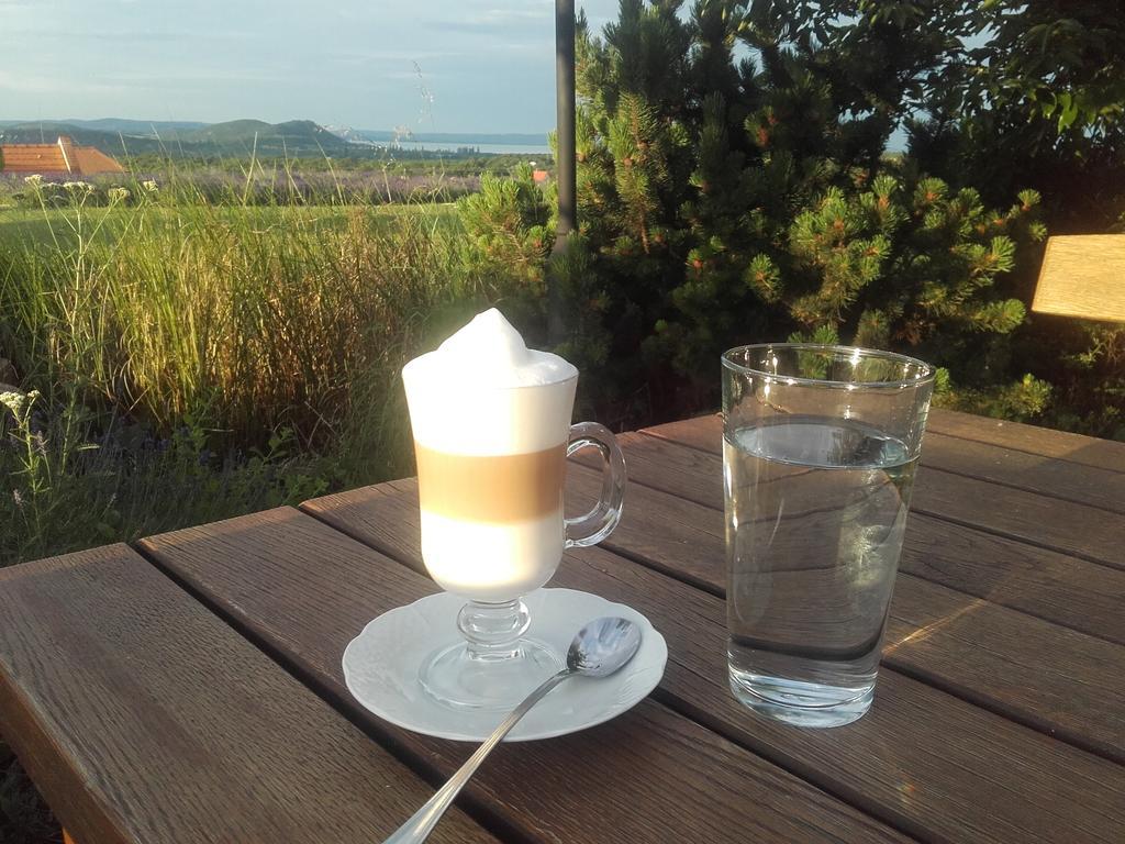 Koczor Winery & Guesthouse 巴拉顿菲赖德 外观 照片