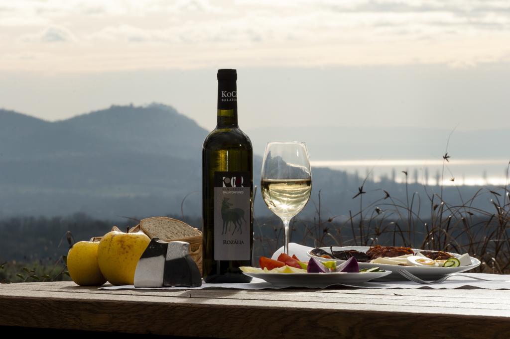 Koczor Winery & Guesthouse 巴拉顿菲赖德 外观 照片