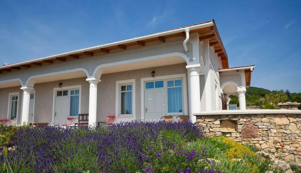 Koczor Winery & Guesthouse 巴拉顿菲赖德 外观 照片