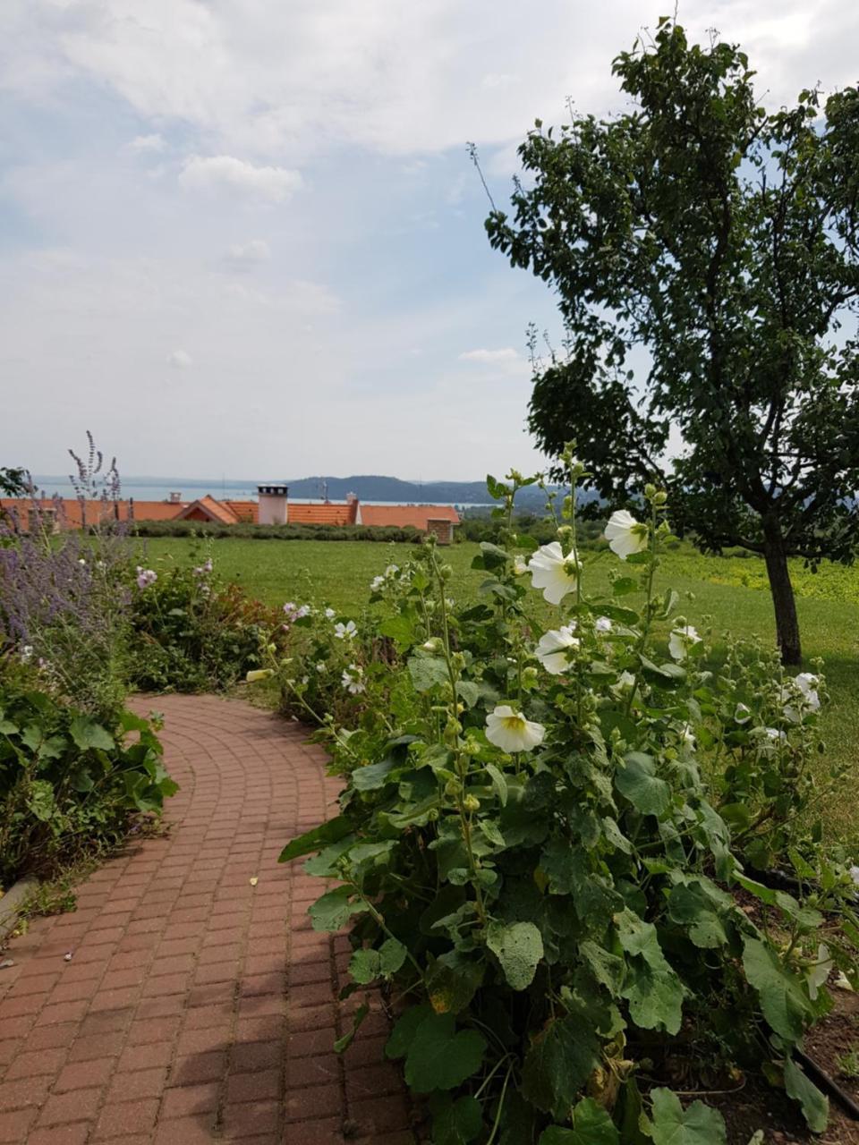 Koczor Winery & Guesthouse 巴拉顿菲赖德 外观 照片