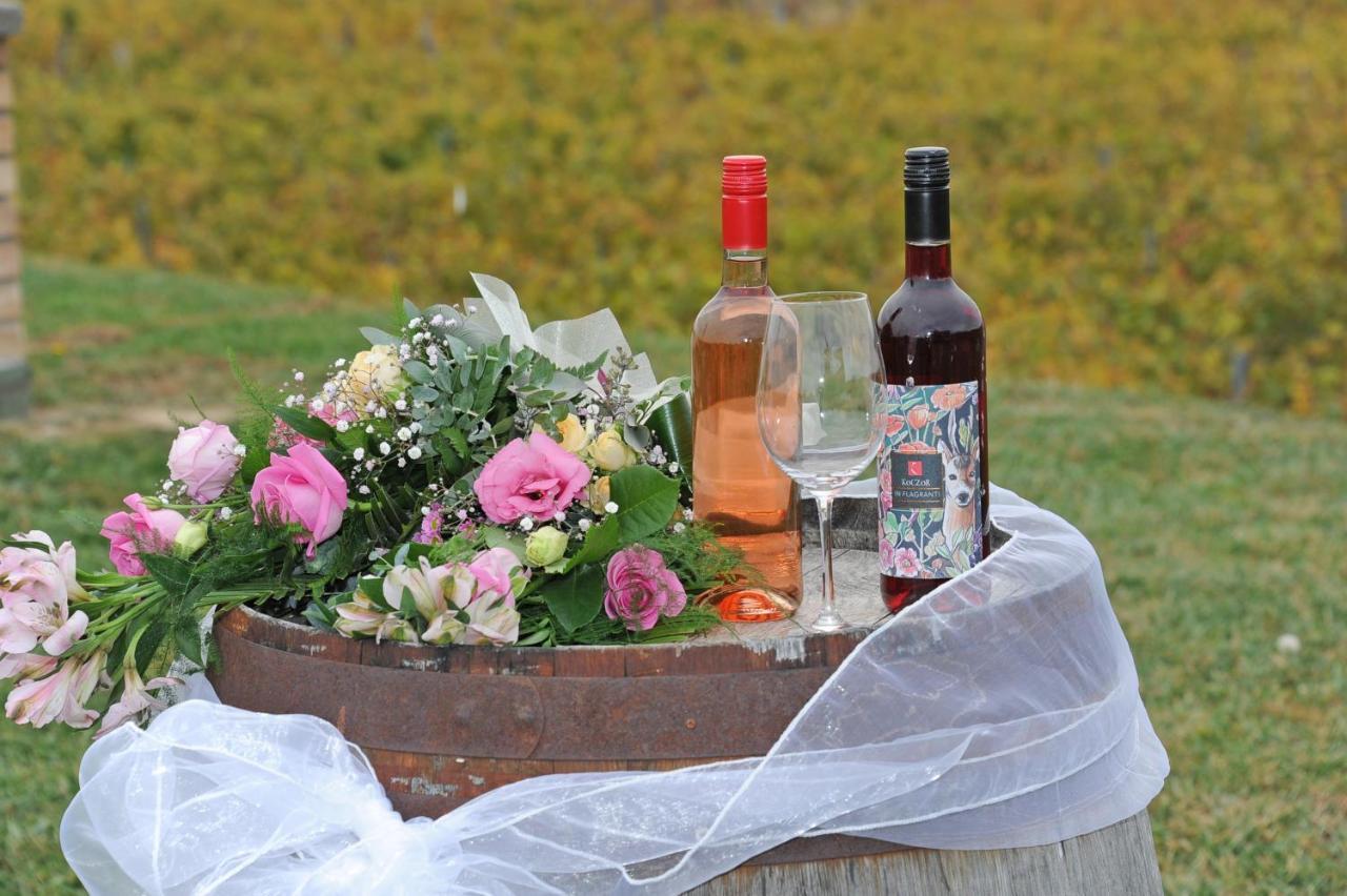 Koczor Winery & Guesthouse 巴拉顿菲赖德 外观 照片