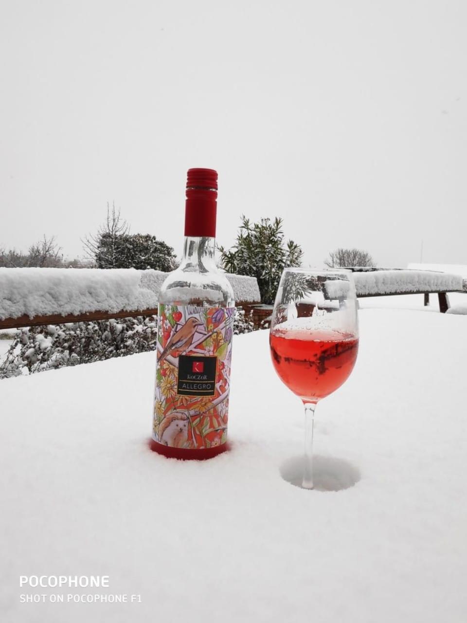 Koczor Winery & Guesthouse 巴拉顿菲赖德 外观 照片