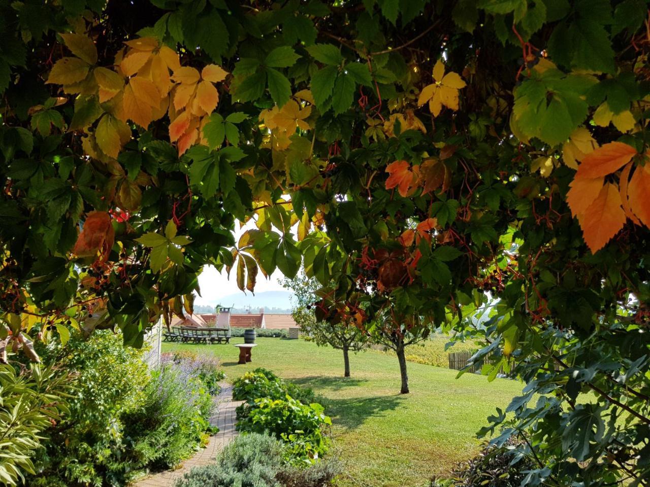 Koczor Winery & Guesthouse 巴拉顿菲赖德 外观 照片