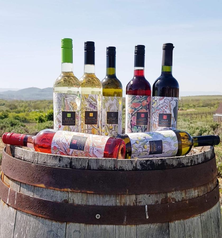 Koczor Winery & Guesthouse 巴拉顿菲赖德 外观 照片