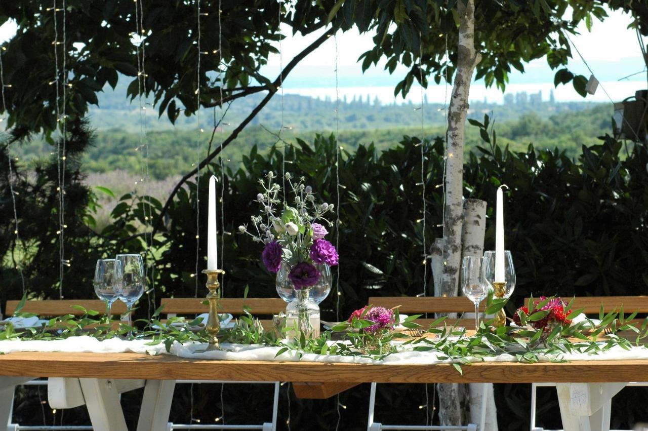 Koczor Winery & Guesthouse 巴拉顿菲赖德 外观 照片