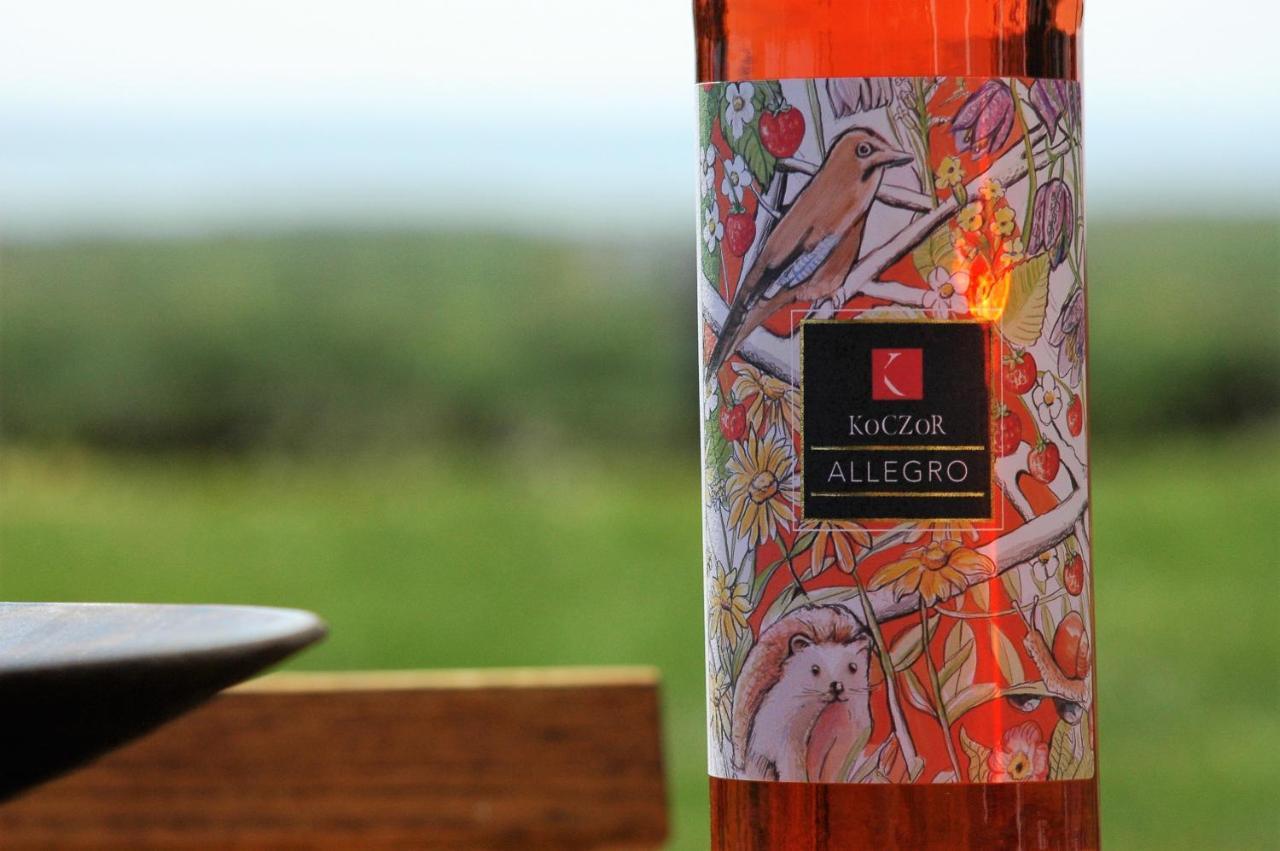 Koczor Winery & Guesthouse 巴拉顿菲赖德 外观 照片