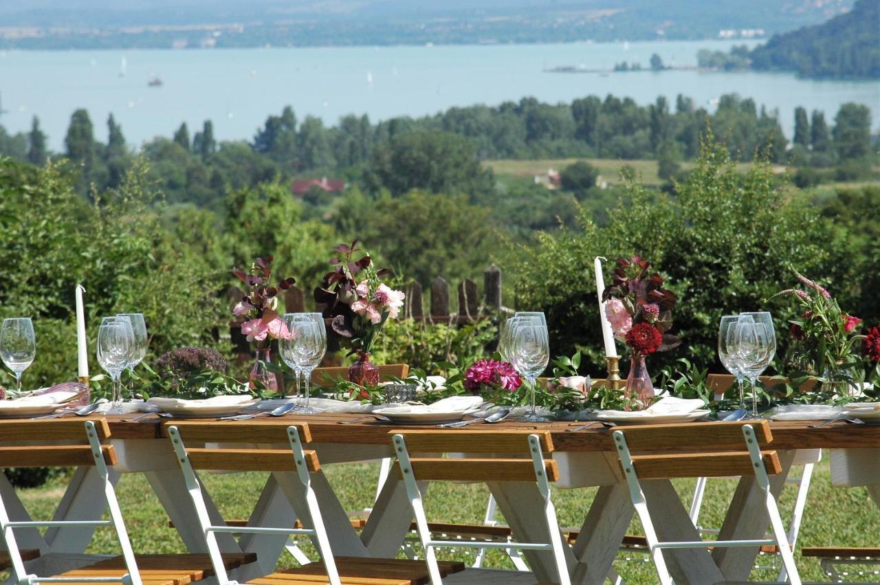 Koczor Winery & Guesthouse 巴拉顿菲赖德 外观 照片